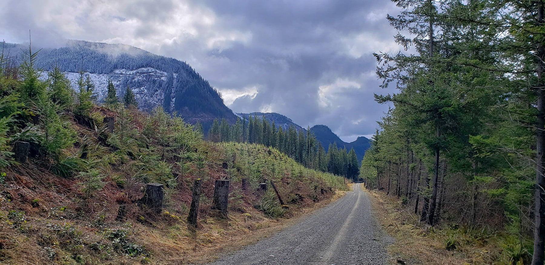 gravel road next to a mountain