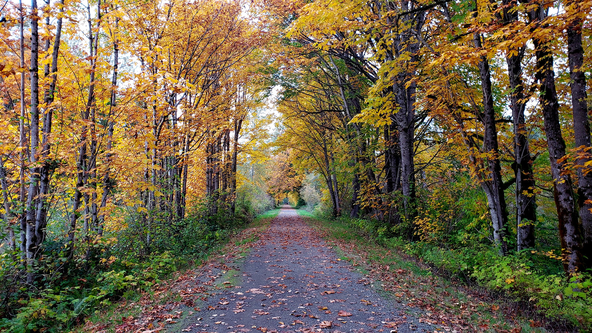 svt snovalley trail