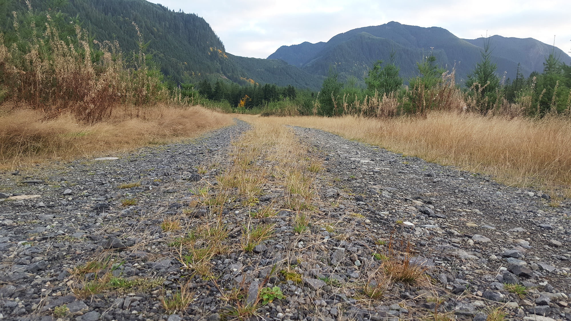 thegravelriders gravel road