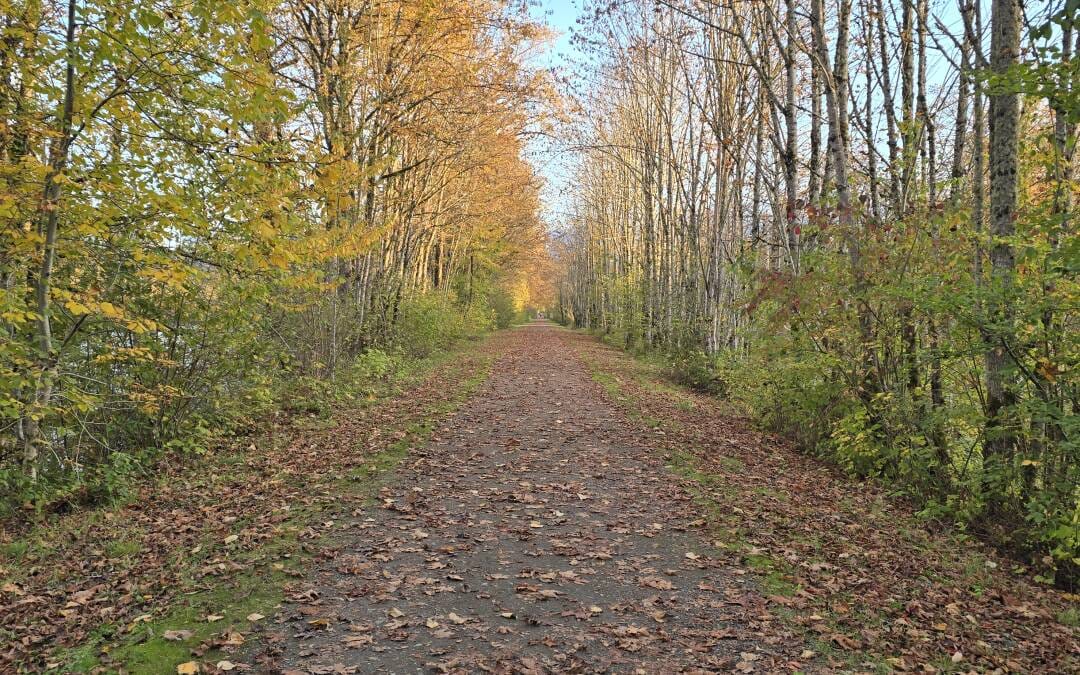 Gravel Cycling in 2025: The Top Trends Shaping the Scene
