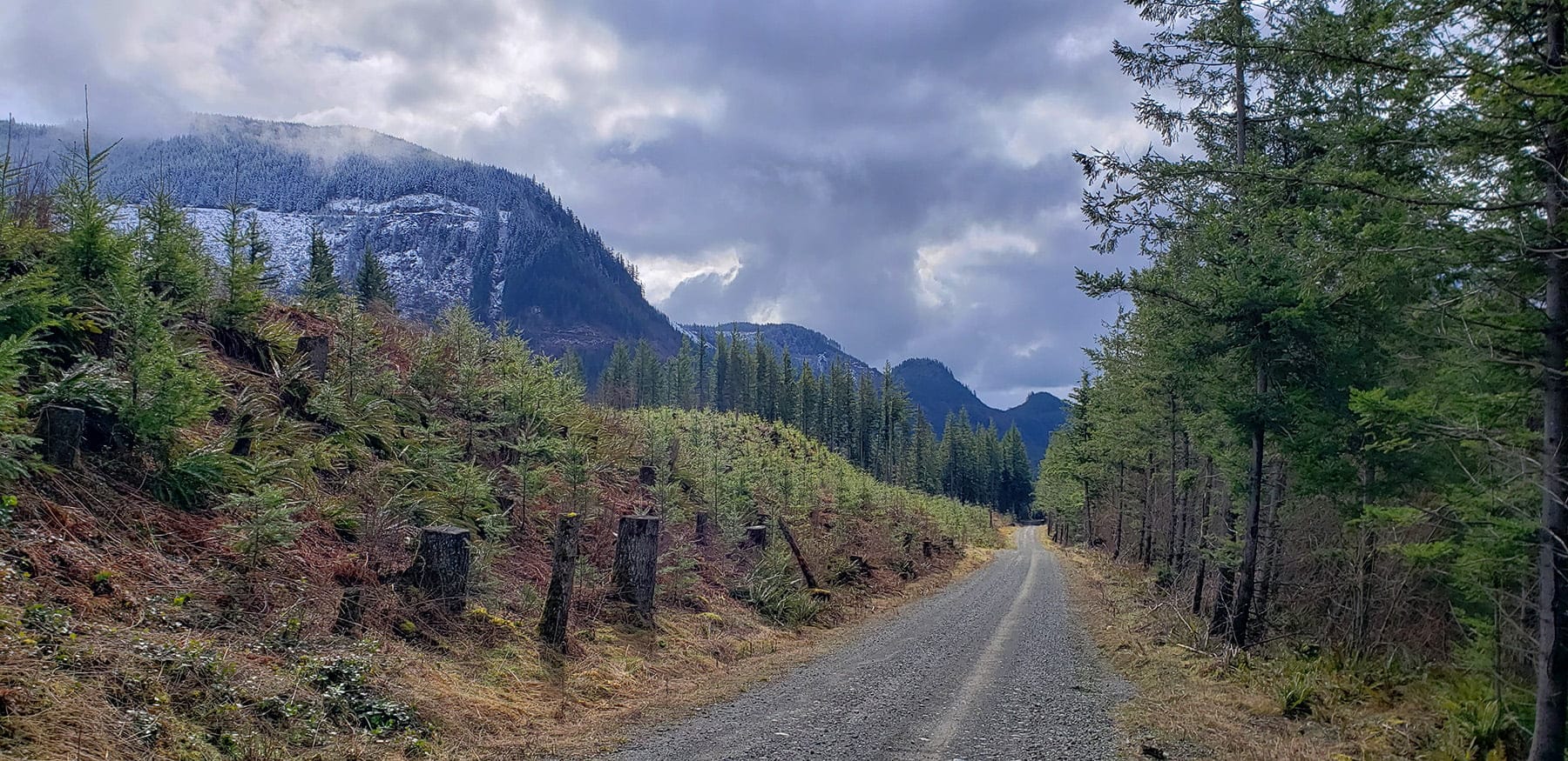 Gravel cycling in autumn, Pacific Northwest foliage
