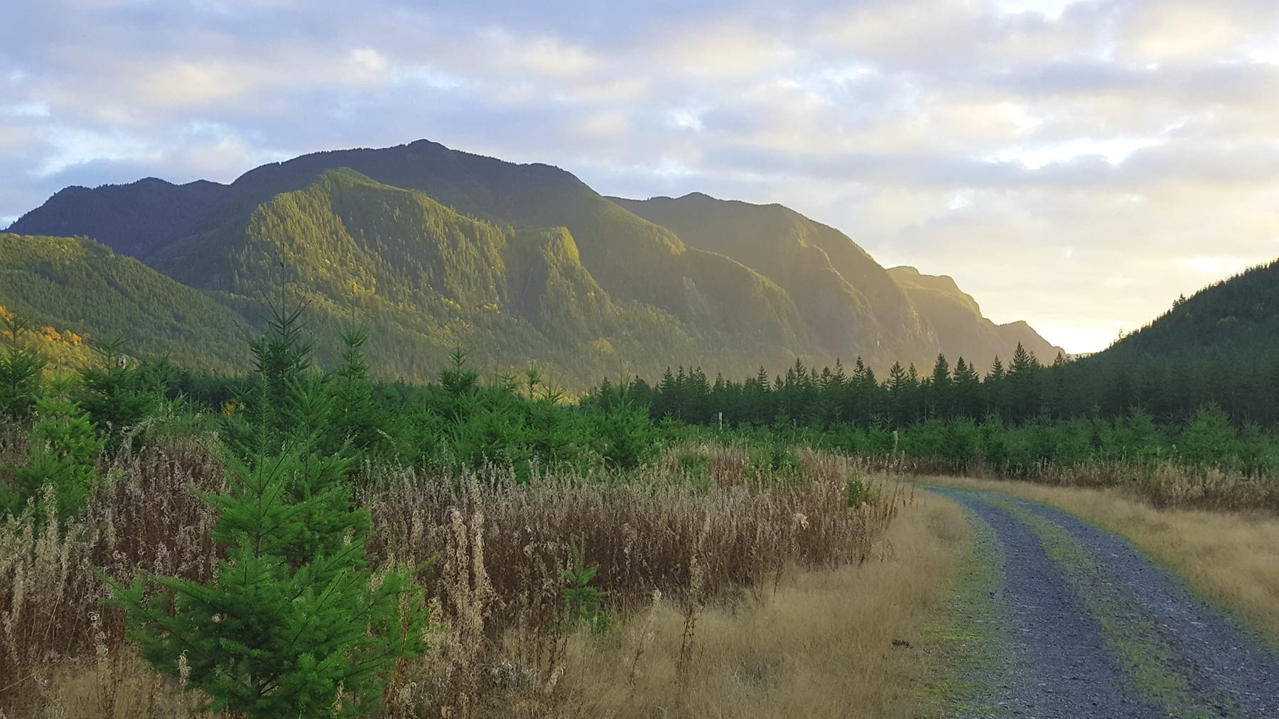 Golden hour on gravel road through Cascade mountain valley
