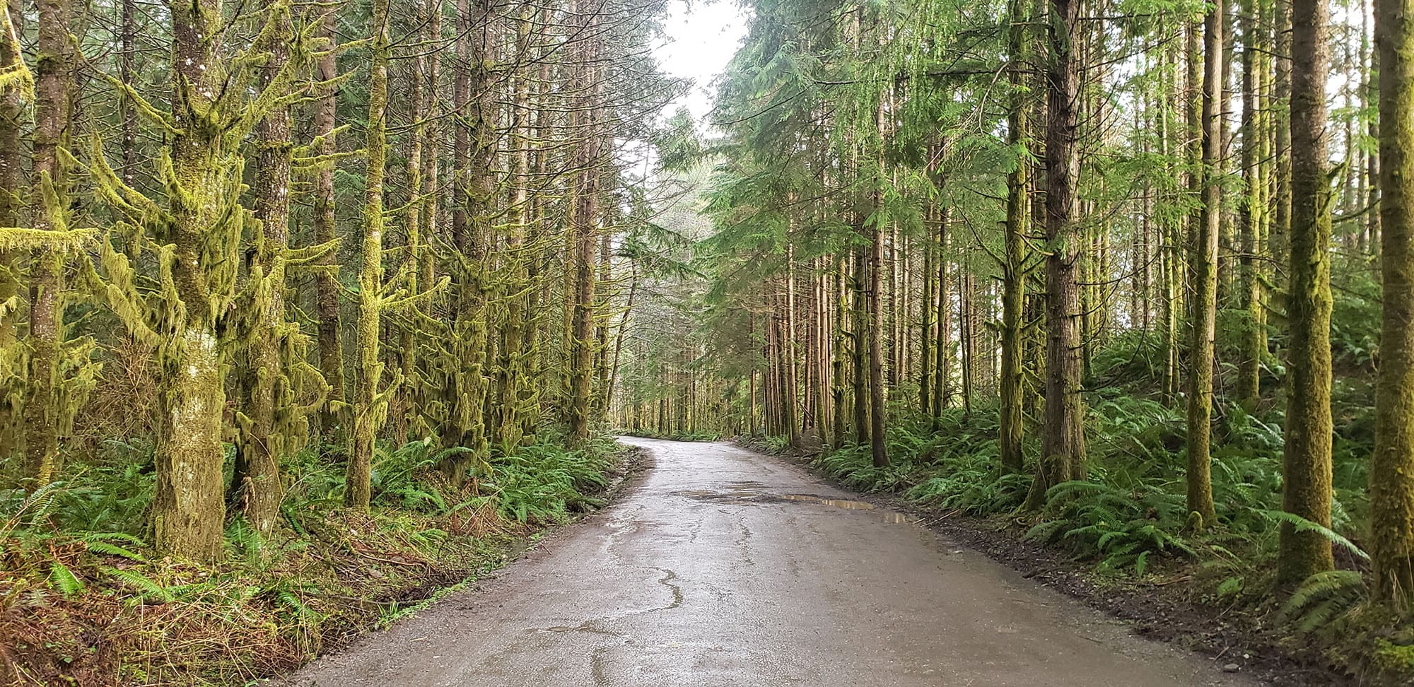 Gravel cycling route with panoramic mountain views