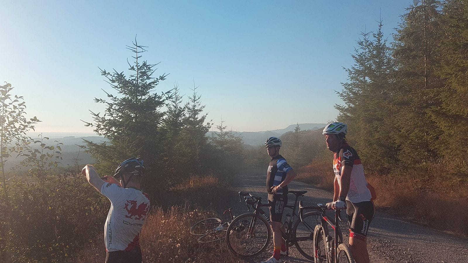 Gravel bike on a remote forest road, early morning