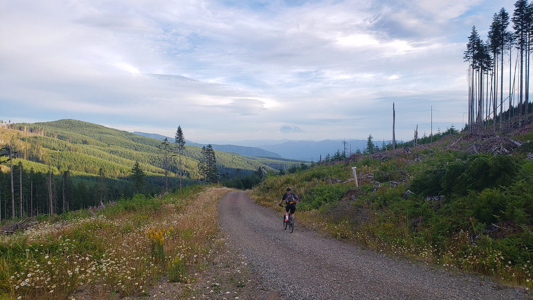 Gravel riding through PNW alpine terrain