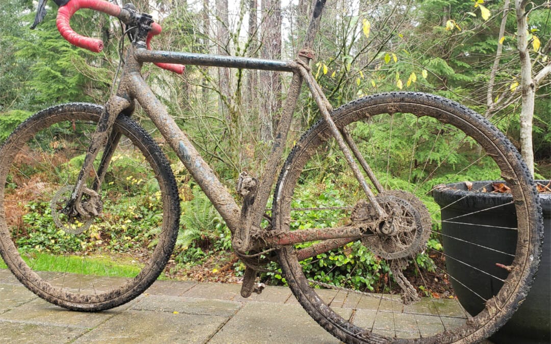 Best Gravel Bikes 2026: Top Picks for Every Budget